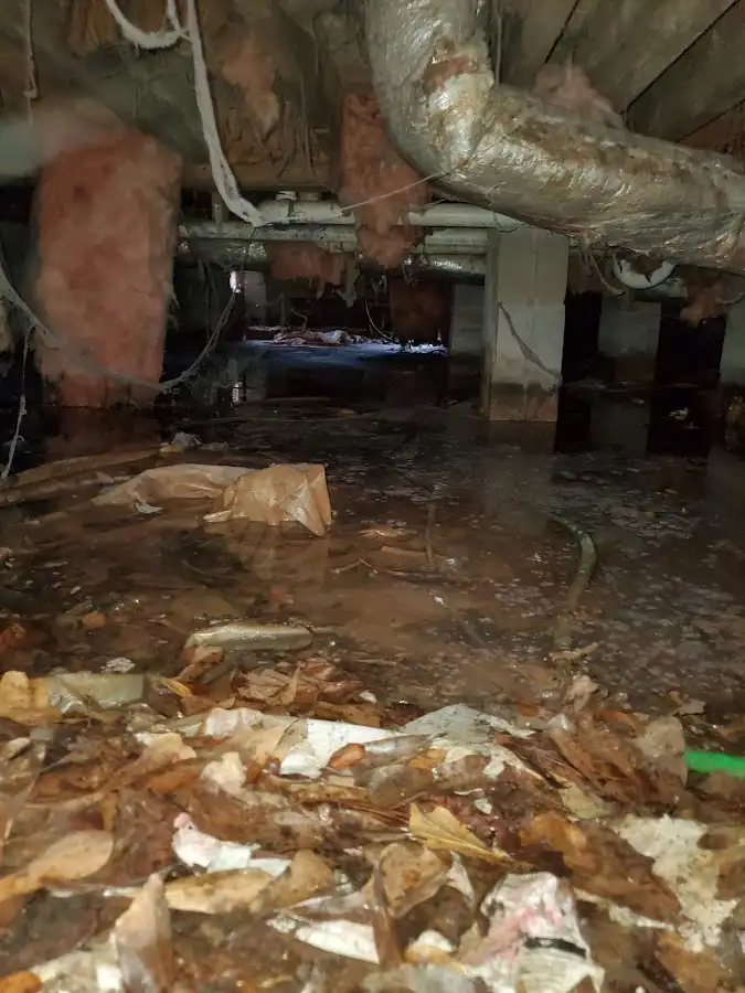 Crawl space flood assessment for Leak Detection & Repair in Vernon